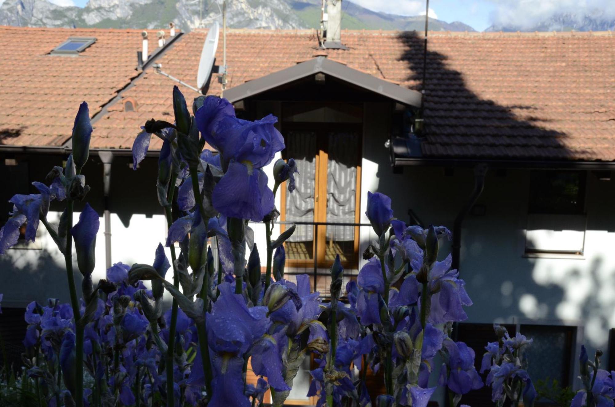 Appartamento Al Forte Torbole Sul Garda Exterior photo